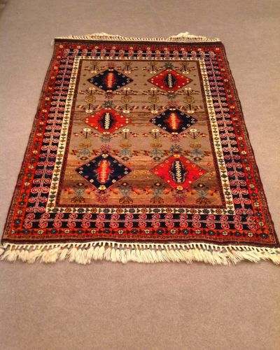 Luxury Sal Carpet