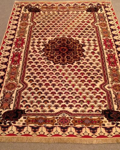 GUL BERCESTE 6323